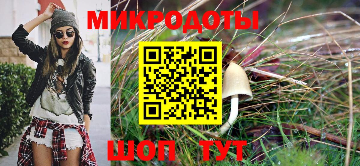 Кимовск  Псилоцибиновые грибы Psilocybine cubensis  Псилоцибиновые грибы прущие грибы  Вход с VPN 